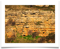 09 Geology DSC_0212 - Carol Sparkes